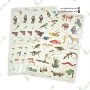 برچسب ترکیبی 5تایی حیوانات (200 عددی ) _ کد 2584 _خرید عمده لوازم تحریر