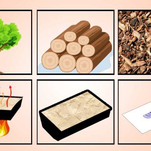 فرایند-تولید-کاغذ