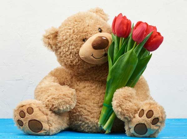 خرس-پولیشی-برای-کادو-روز-دختر